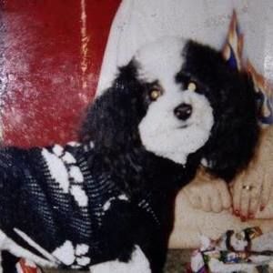 Meet your Posher, Barbara